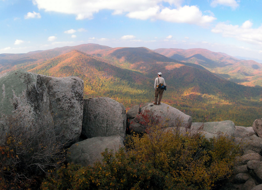 man standing on a boulder overlooking a valley of trees man standing on a boulder overlooking a valley of trees