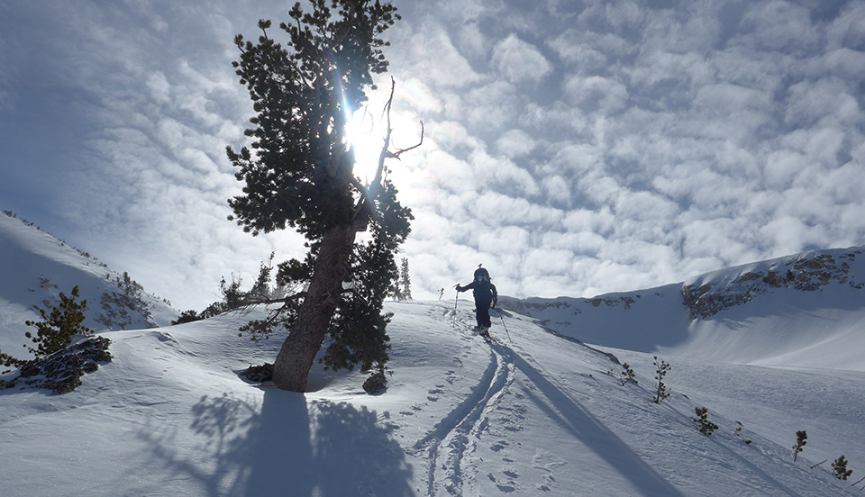 Skier and alto-stratus clouds