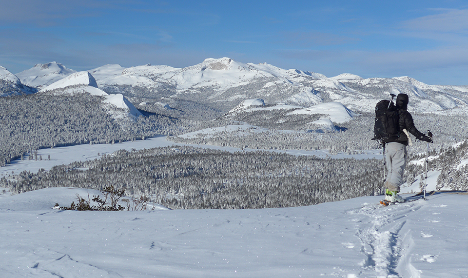 Skier in Tuolumne Meadows Skier in Tuolumne Meadows