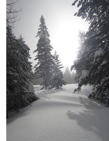 Sun peeks out in Tuolumne Meadows