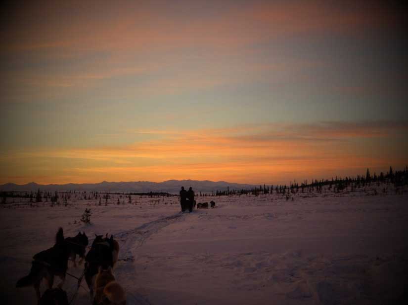 north boundary sunset dog teams traveling a snowy field under a sky tinged orange by the setting sun