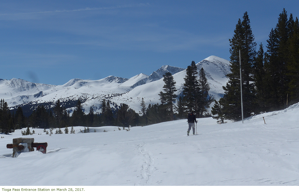 Skier at Tioga Pass covered in snow