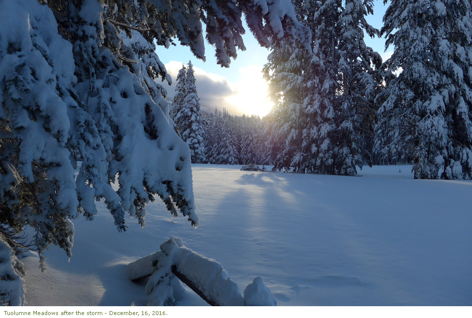 Lots of fresh snow in Tuolumne Meadows following storm - December 16, 2016 Lots of fresh snow in Tuolumne Meadows following storm - December 16, 2016