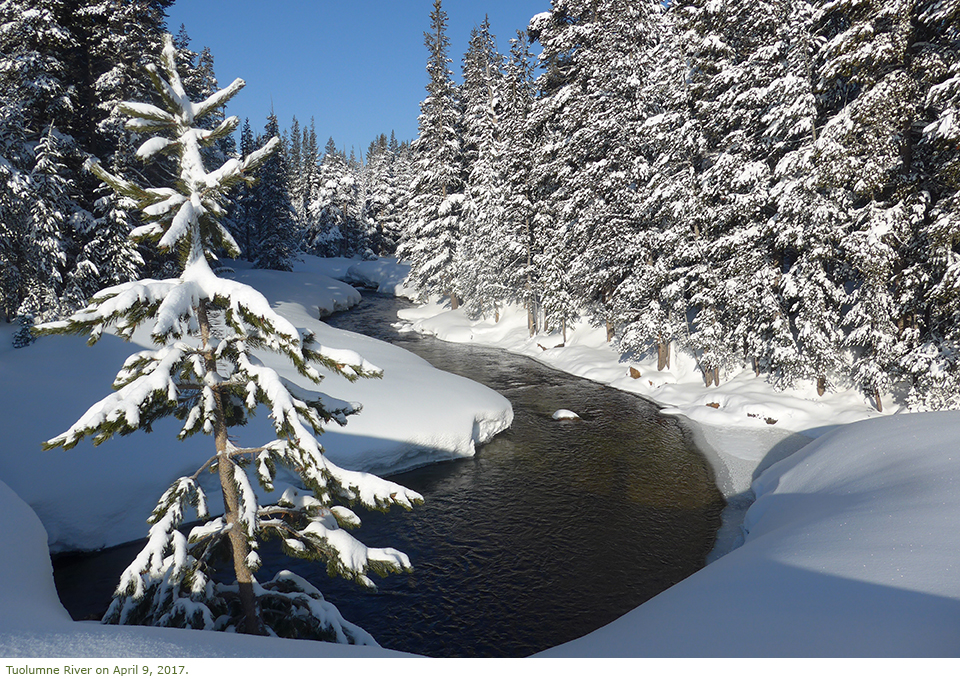 Tuolumne River in winter with snow Tuolumne River in winter with snow