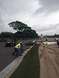 Rolling Out Turf on National Mall men roll out new sod in front of US Capitol