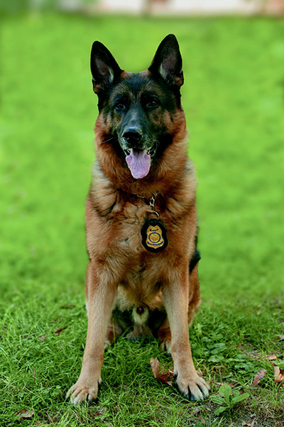 Ken Franklin, K9 Law Enforcement Ranger