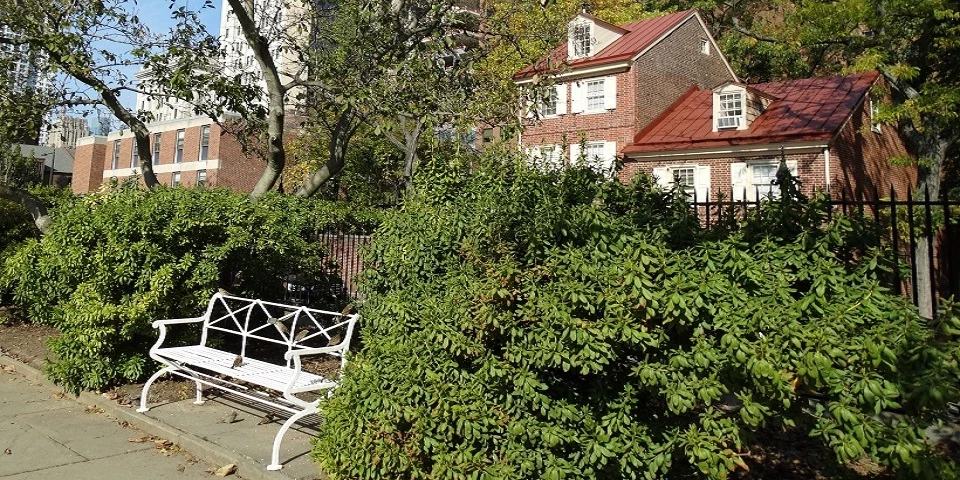Magnolia Garden bench Color photo showing white bench surrounded by foliage with brick homes in the background.