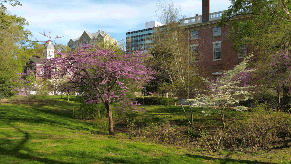 Dock Creek in the spring