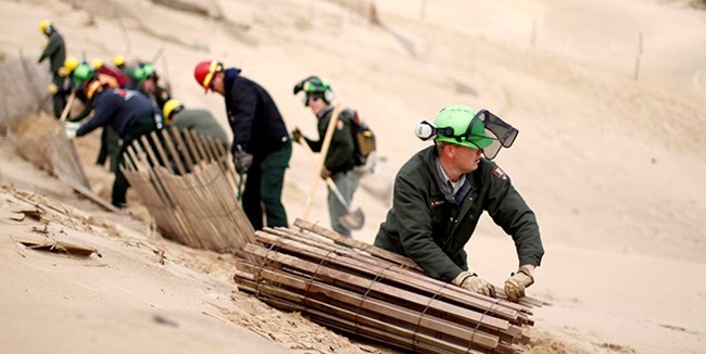 Volunteers helping park staff.