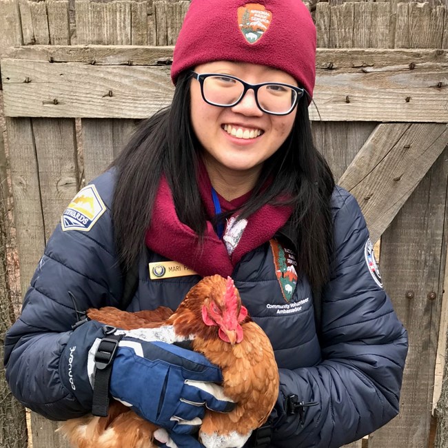 Volunteer caring for chickens