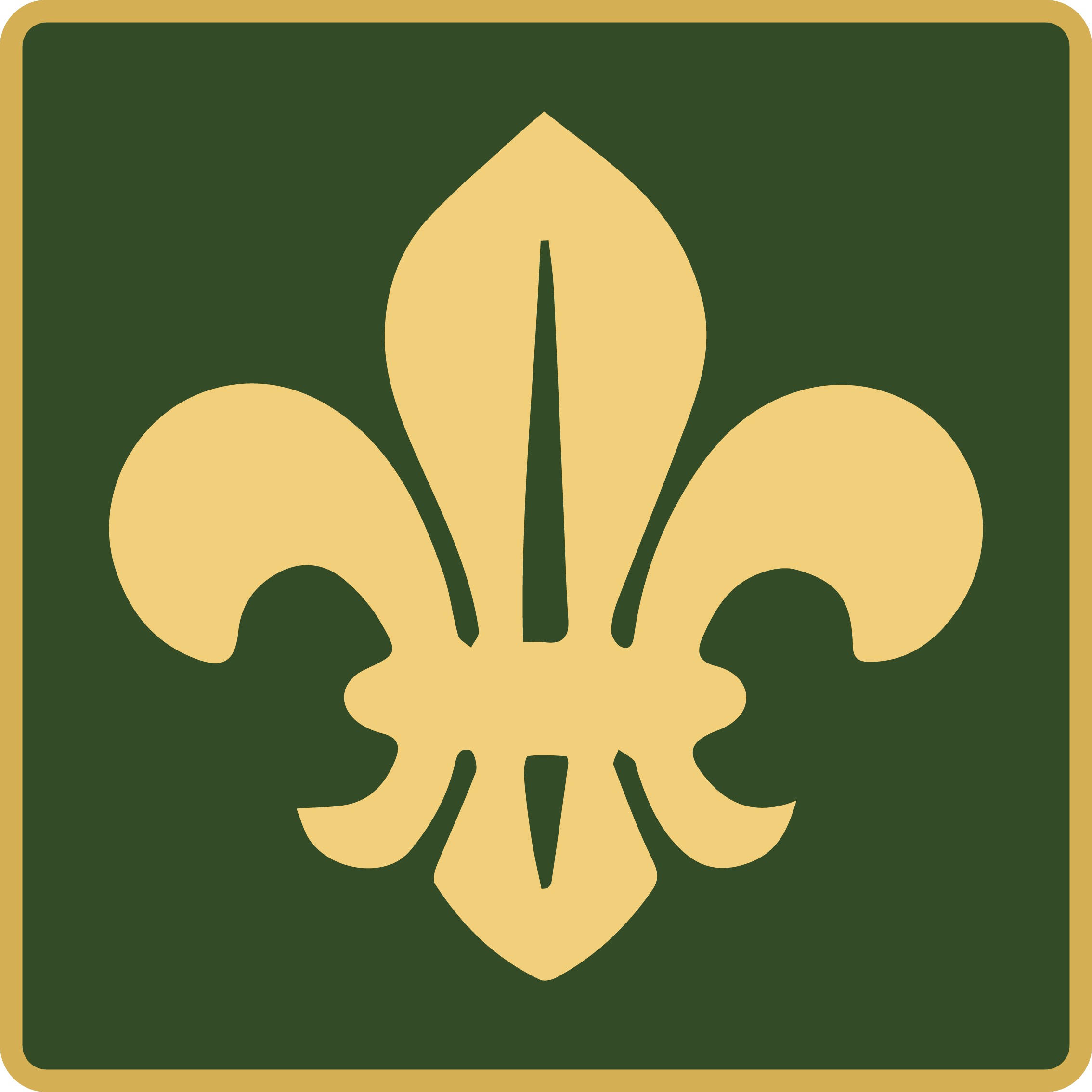 Scout Programs Logo