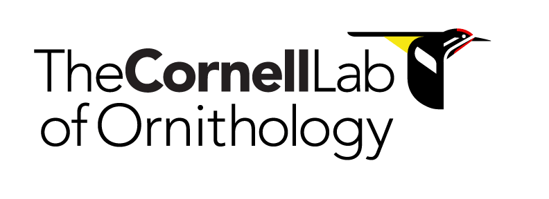 Cornell Lab Logo