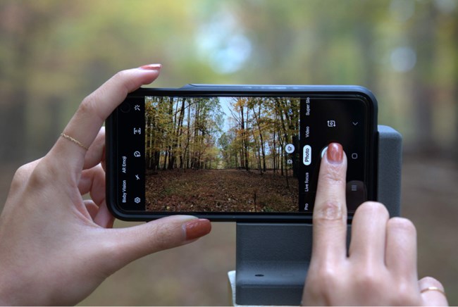 person taking photo of forest on a phone bracket