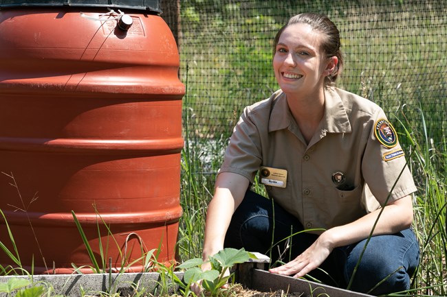 Volunteer in garden