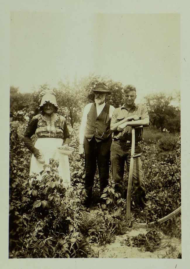 Edwin Way Teale and grandparents 1916-18 Historic photograph of an elderly couple and young man holding a sickle standing in a vegetable/fruit garden