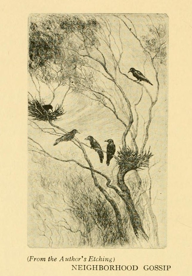 Historic etching by Earl Reed of 5 crows perched around two nests in a tree.