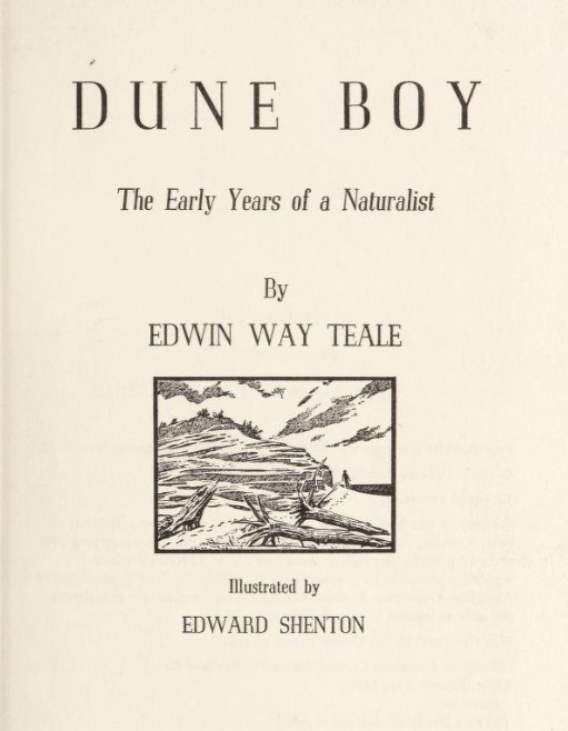 dune boy cover Cover page of the book "Dune Boy," featuring an illustration of a boy next to a sand dune.