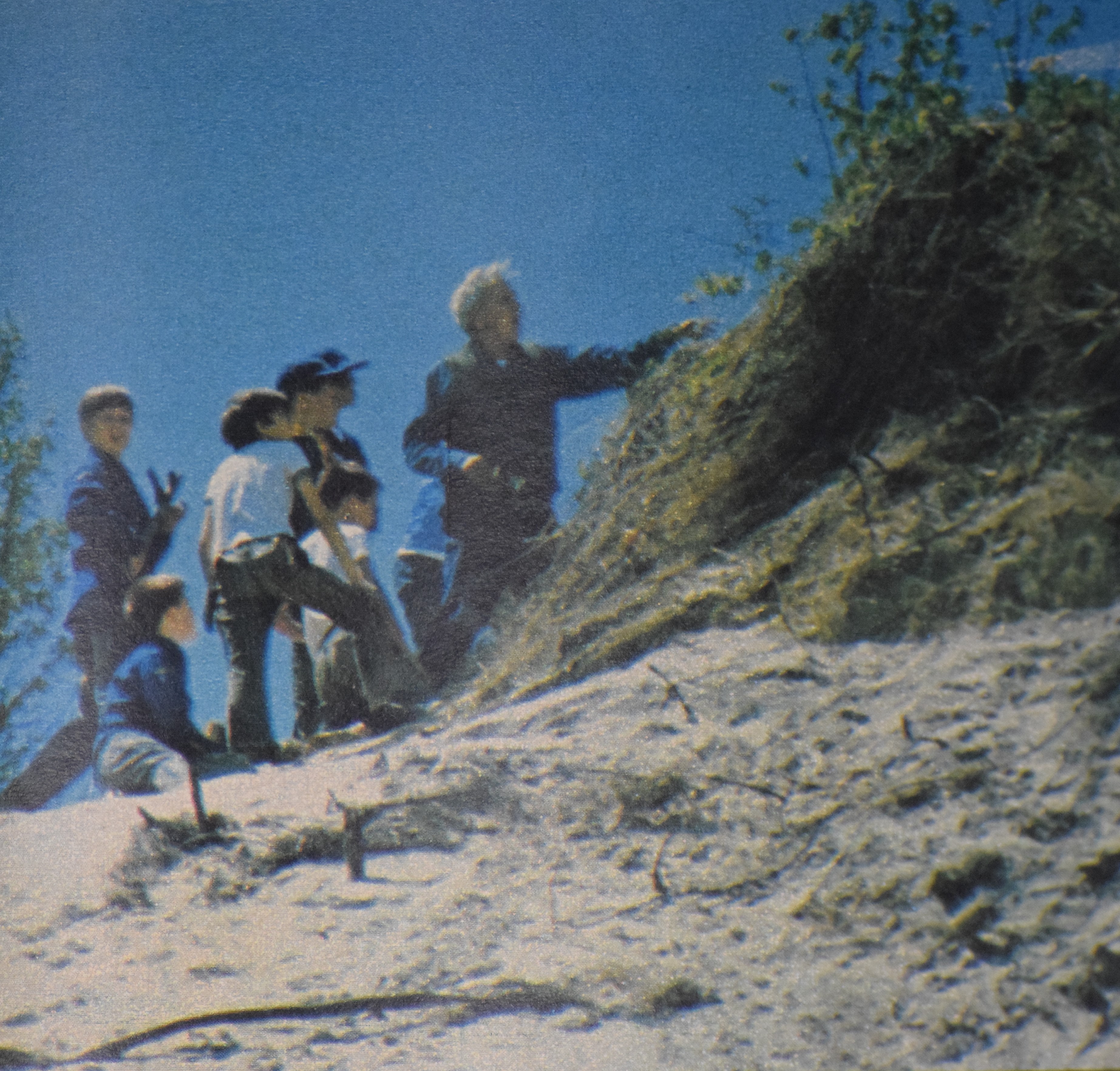 White-haired man showing a group of children plants growing on a dune