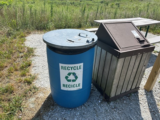 A blue recycling bin next to a brown garbage container on a gravel surface surrounded by herbaceous vegetation