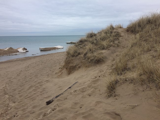 Grass covered dune in the forefront, Lake Michigan with remnants of melting shelf ice in back.