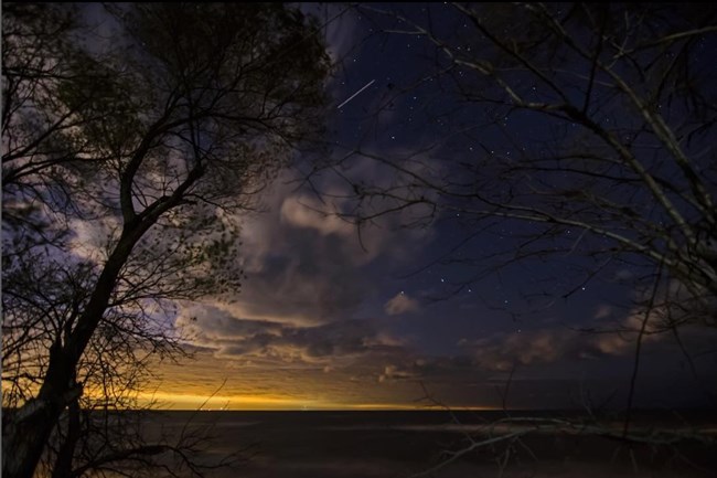 Starry sky over Lake Michigan with a shooting star. Tree silhouettes stand in front of the sky and a yellow glow comes from Chicagoland