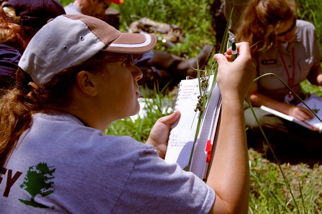 Teachers and rangers working together on discovery, education, and delivery.