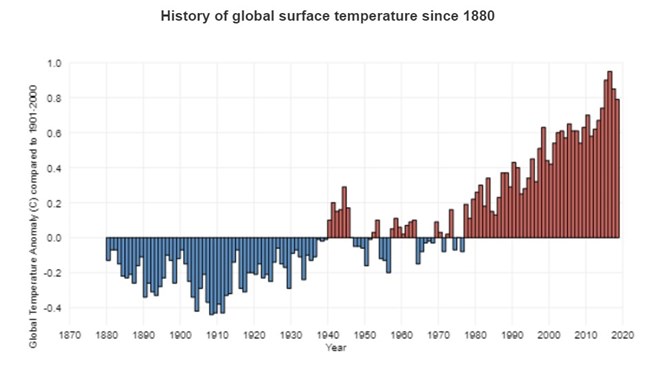 Bar graph showing global temperature change compared to a 1900-2000 average. The global surface temperature has been rising more and more since the 1970s.