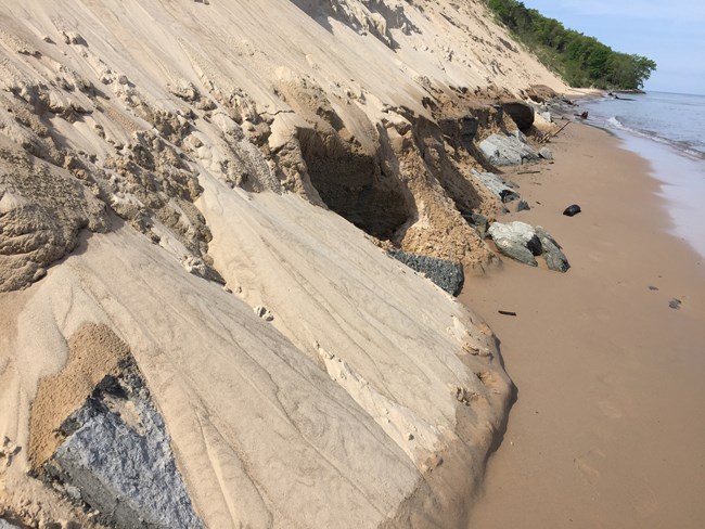 A view looking west down Central Avenue Beach. The steep dune is littered with piles of fallen sand at its base.