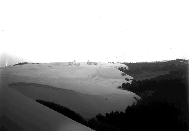 Historic, black and white photograph of large, bare sand dunes advancing inland- covering wetland and woodland alike
