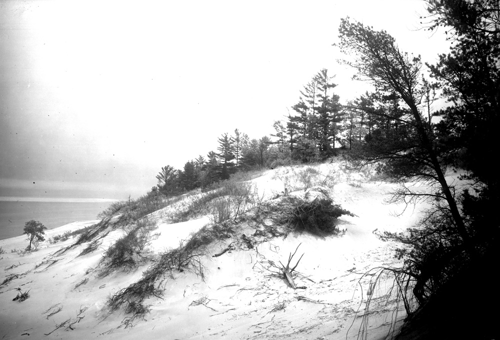 An Early Trip to the Central Dunes - Indiana Dunes National Park (U.S ...