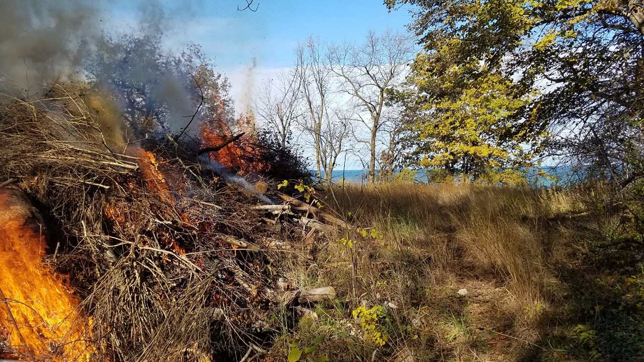 Burning debris from mechanical thinning near Century or Progress homes. Burning debris pile with Lake Michigan in background