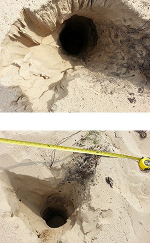 Mount Baldy Holes