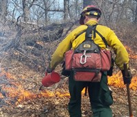 Using a drip torch to ignite a prescribed fire.