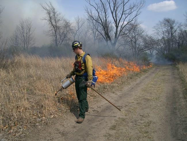 Controlled Burn