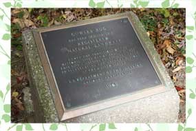 Stone Marker