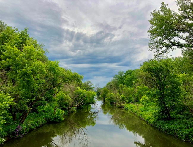 Nature and Science