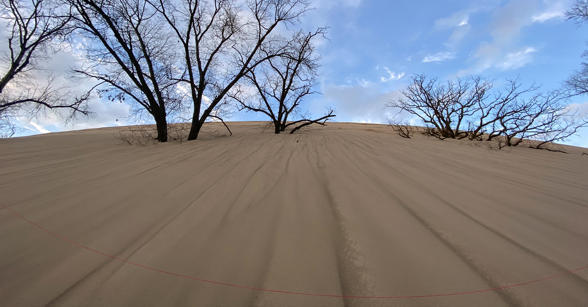 Mount Baldy dune oaks being covered - Zachary Lindeman The huge Mount Baldy sand dune slowly encroaches over oaks being covered.