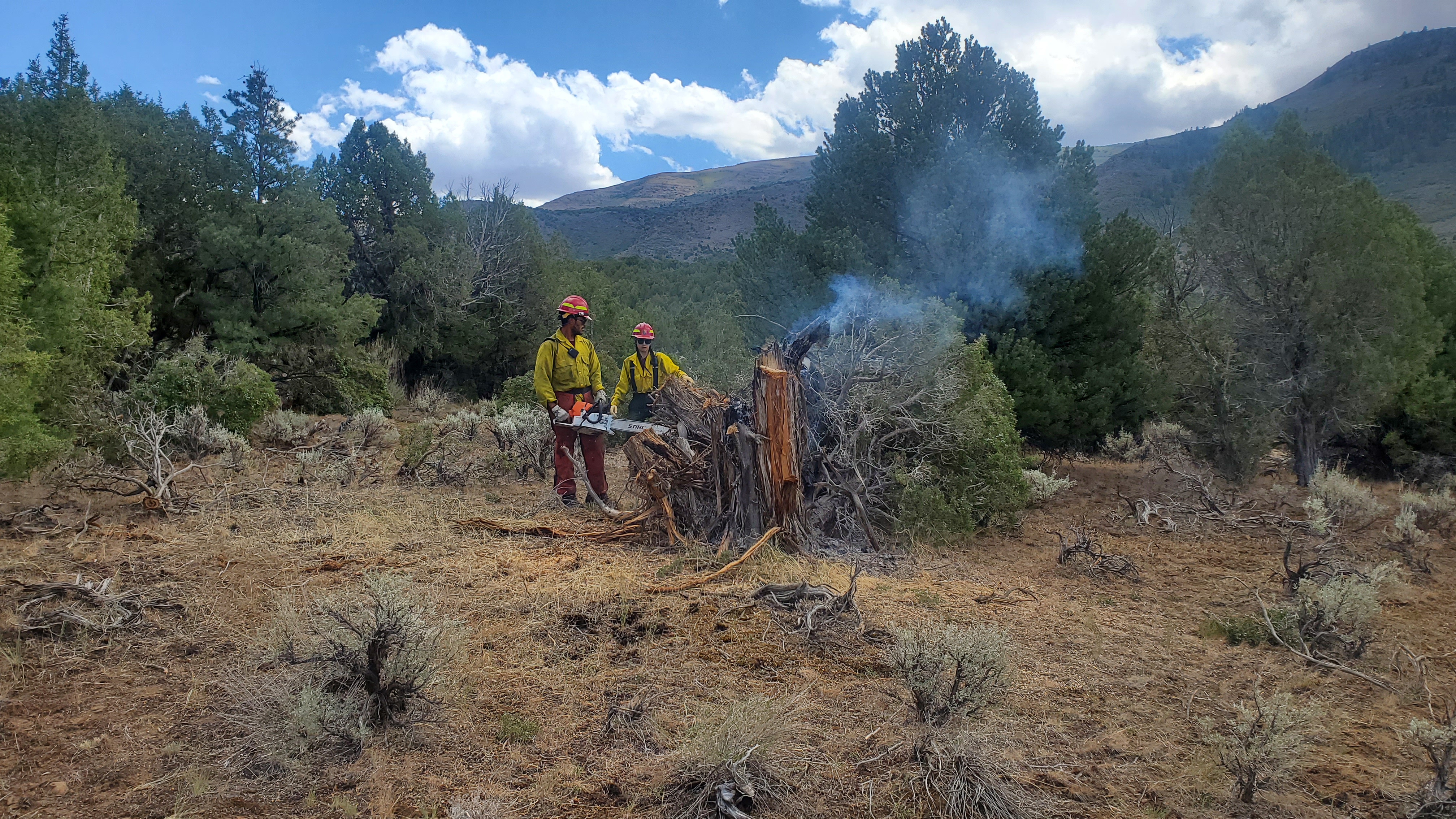 Two firefighters work with a chainsaw on a smoldering tree stump.