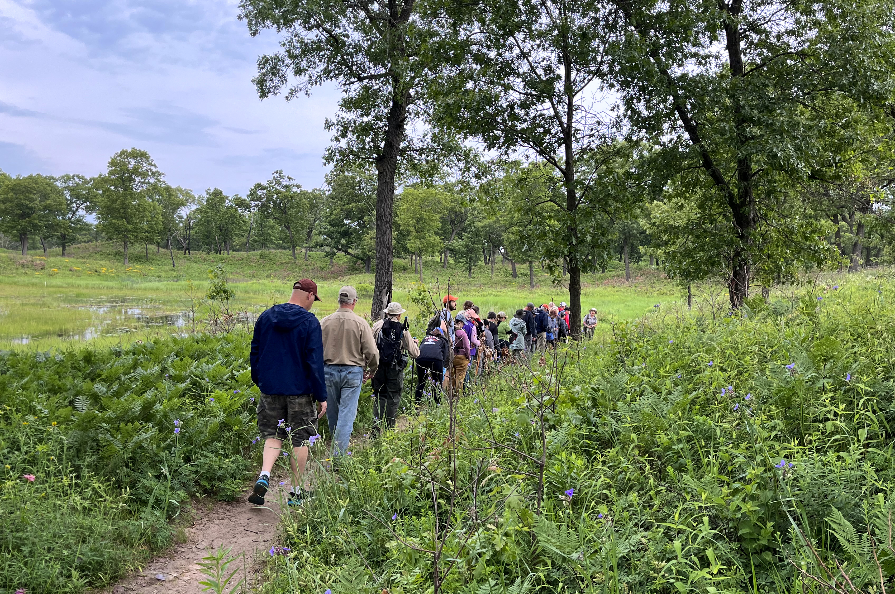 A line of people walks along a narrow dirt trail through a lush green meadow with scattered trees.