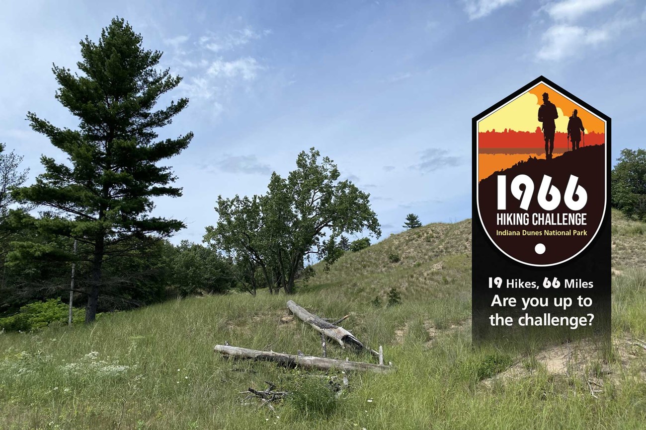 1966 Hiking Challenge Dune Ridge