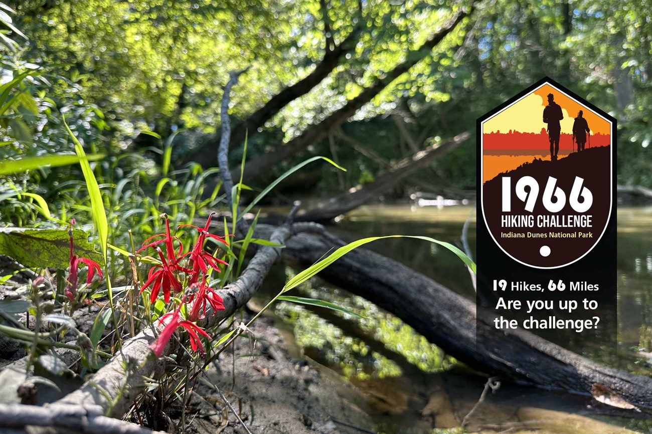 1966 Hiking Challenge Little Calumet River