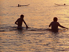 Two visitors swimming in the lake.