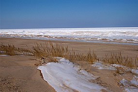 winter scene with ice on lake Michigan and beach sand and dune grass in the foreground
