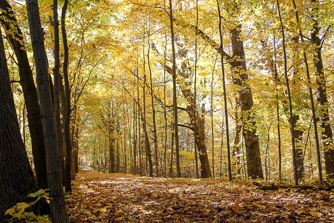 Bailly Chellberg Trail