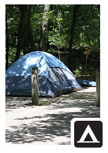 Campamento Dunewood