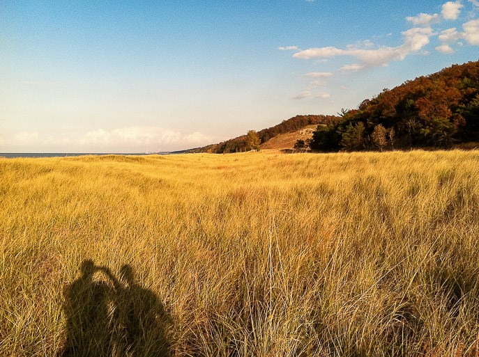 Cowles Bog Trail