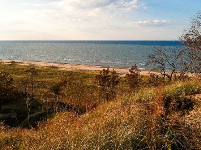 View from atop a sand dune overlooking Lake Michigan. The lake's blue waters under a blue sky with white clouds in background. Foreground is a grass-covered dune with some shrubs and trees.