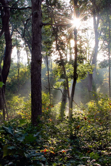 Dune Ridge Trail