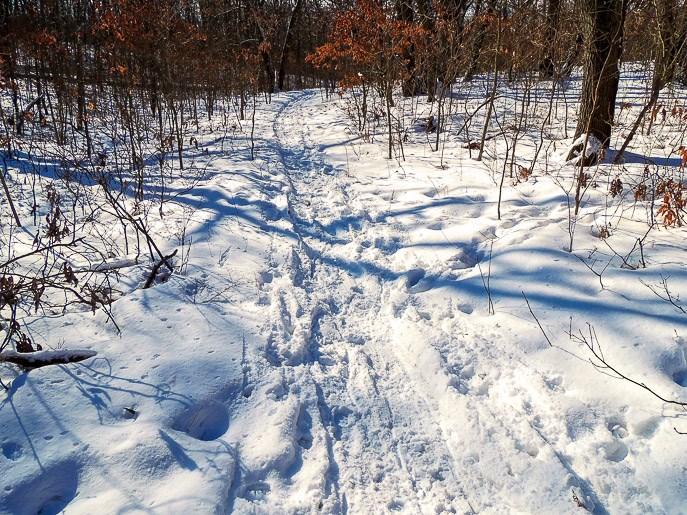 Glenwood Dunes Trail