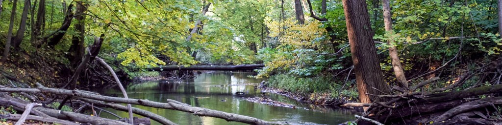 Heron Rookery Trail